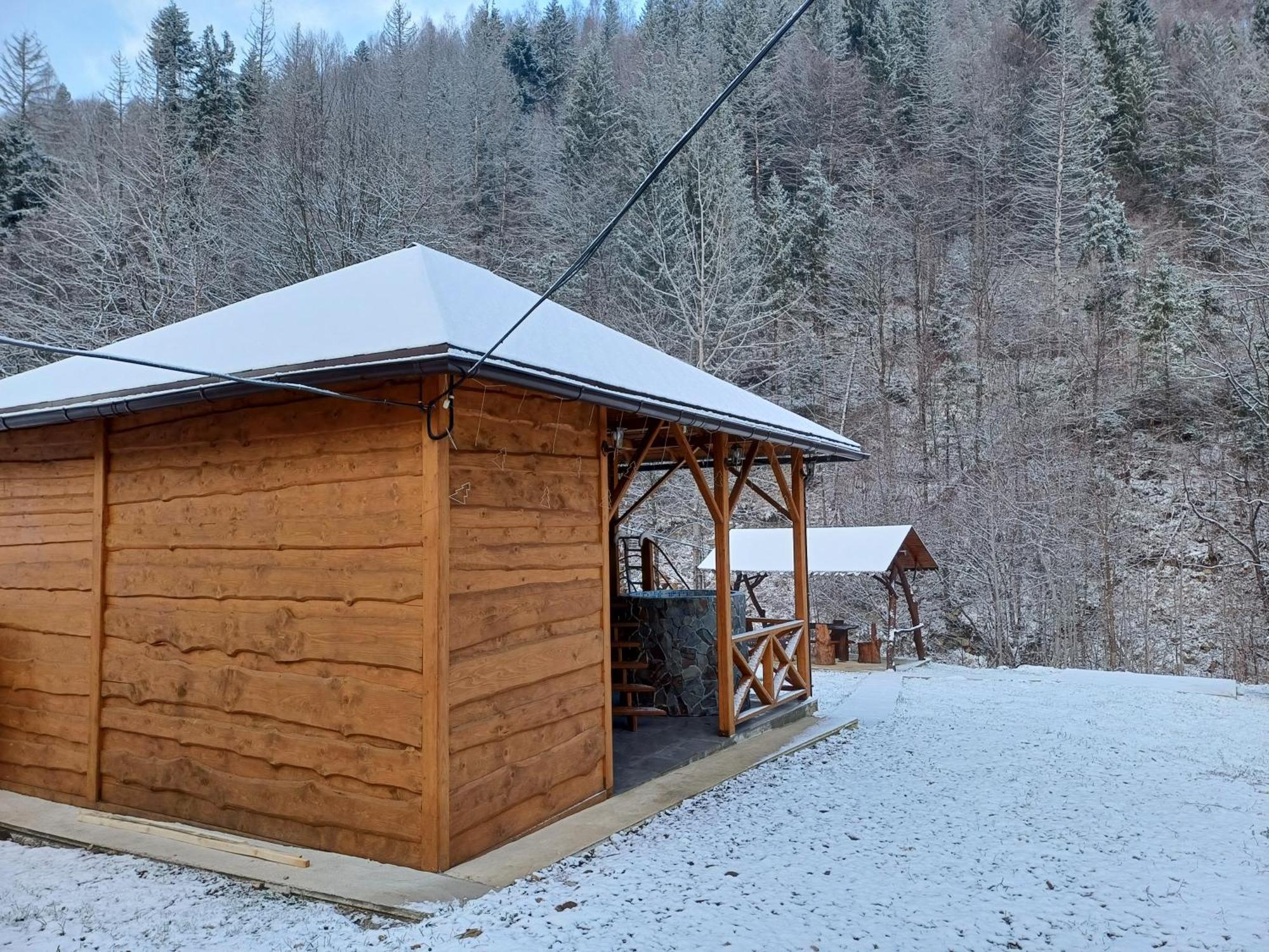 Садиба У Курила З Сауною Та Чаном На Дровах Shepot Exterior photo